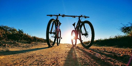 Key Differences Between Road Bikes And Mountain Bikes